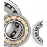 SKF insocoat NU 224 ECM/C3VL0241 Insocoat Hybrid Bearings