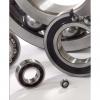 FAG Ceramic Coating HCN1007-K-M1-SP Insocoat Hybrid Bearings